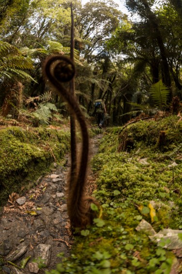 IMG_3267