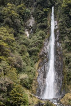 IMG_3299