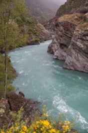 IMG_3620